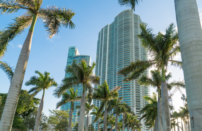 Read more about the article This Amazon Rainforest-Inspired Restaurant Is Set To Transform Miami’s Dining Scene This Fall