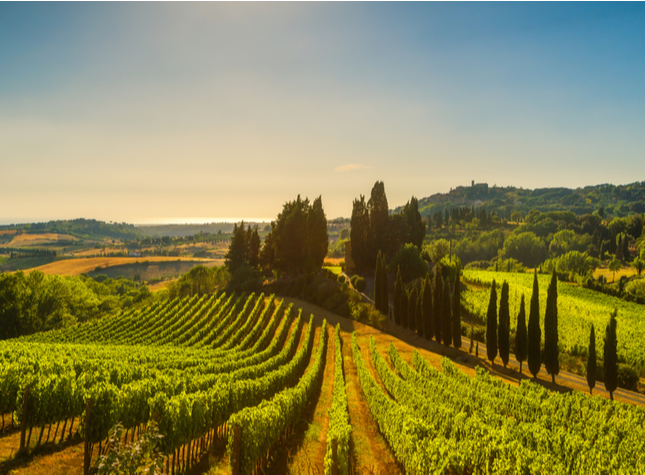 Scopri di più sull'articolo Tim Burton e Monica Bellucci acquistano una tenuta in Toscana nel momento di boom dell’immobiliare di lusso