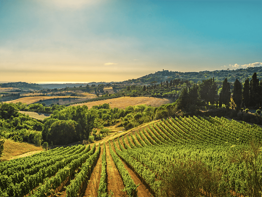Read more about the article From Ruins to Riches: How an American Lawyer Saved a Medieval Tuscan Village