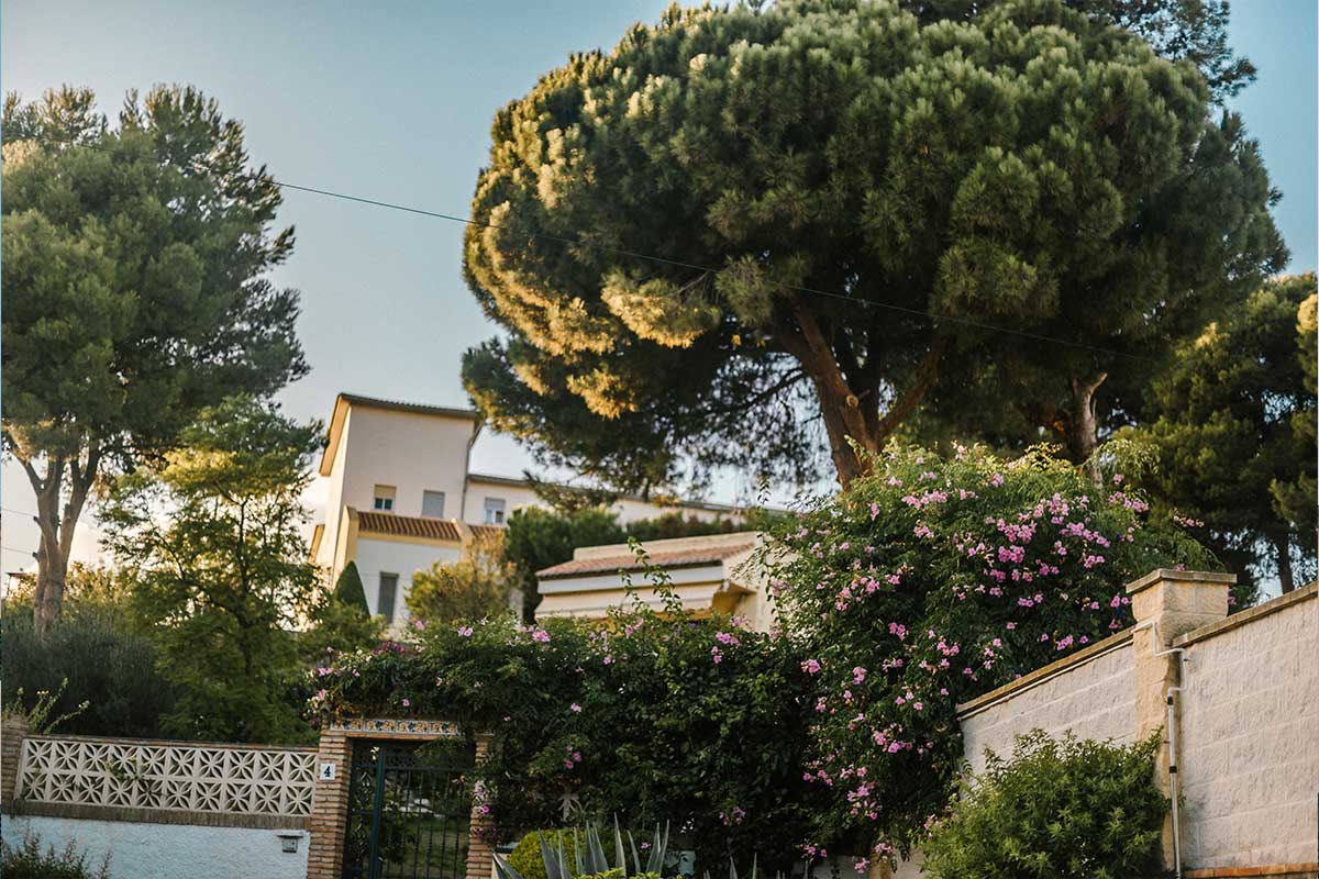 Scopri di più sull'articolo Prospettive per l’Italia nel 2025