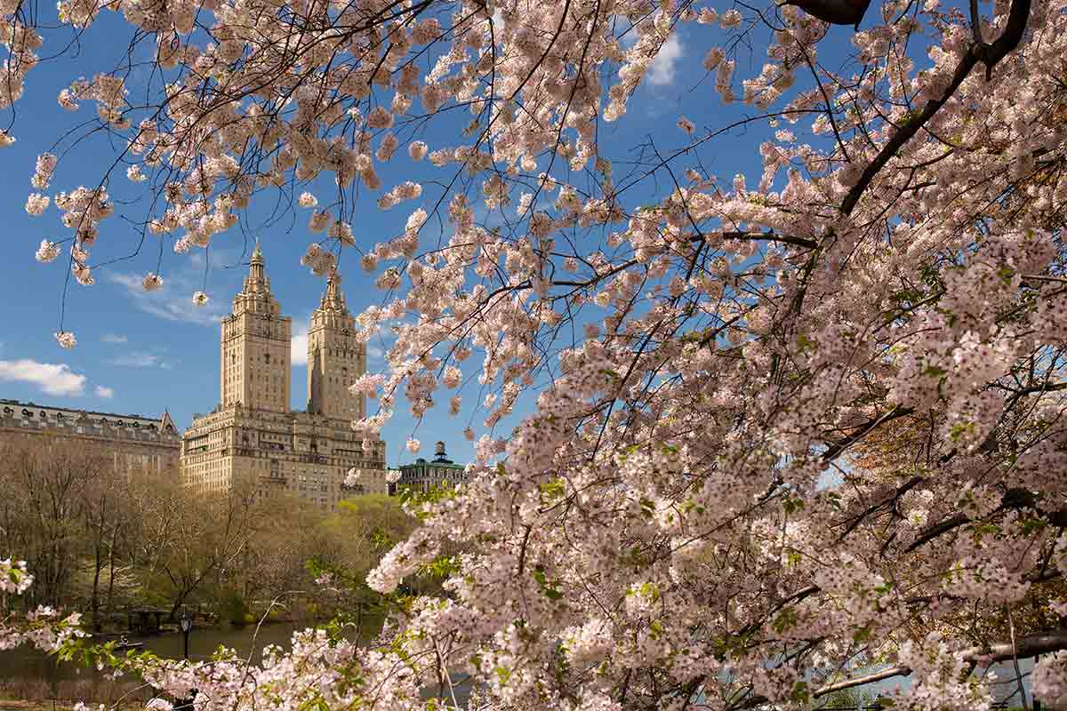 Scopri di più sull'articolo Immobiliare NYC 2025: Impennata Primaverile e Tendenze di Ripresa